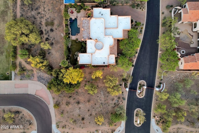 bird's eye view