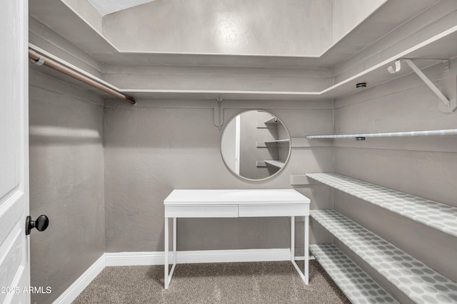 5435 E Cambridge Ave, Phoenix, AZ 85008 - walk in closet with carpet floors
