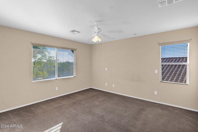 carpeted spare room featuring ceiling fan and a healthy amount of sunlight