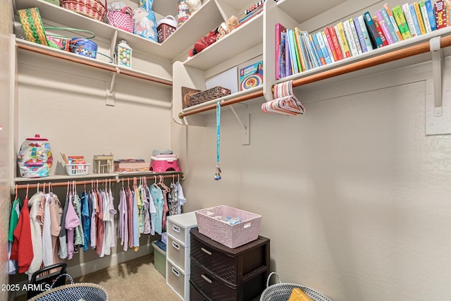 spacious closet featuring carpet floors