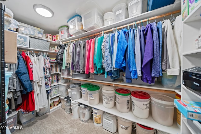 spacious closet with carpet flooring