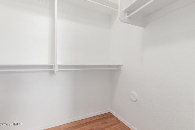 walk in closet with hardwood / wood-style flooring