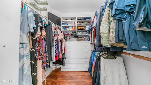 116 E Mountain Sky Ave, Phoenix, AZ 85048 - walk in closet with wood finished floors
