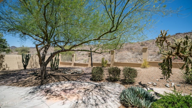 116 E Mountain Sky Ave, Phoenix, AZ 85048 - view of yard with a mountain view