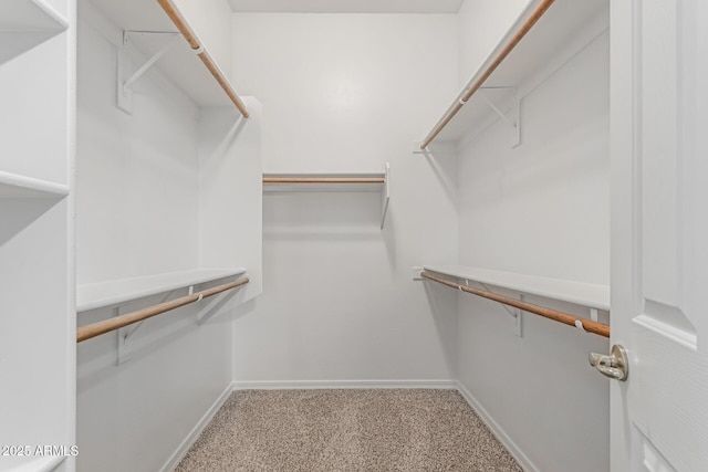 13007 W Tuckey Ct, Glendale, AZ 85307 - walk in closet featuring carpet