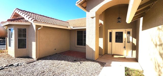 doorway to property with stucco siding and a tile roof