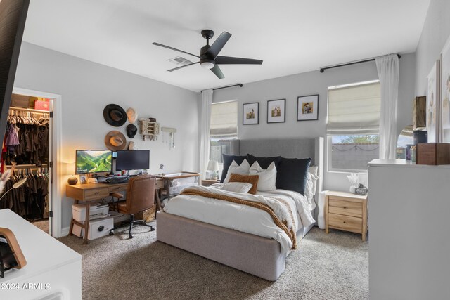 5871 N 187th Ln, Litchfield Park, AZ 85340 - bedroom with a spacious closet, carpet floors, multiple windows, and a closet