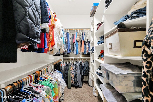 spacious closet featuring carpet flooring