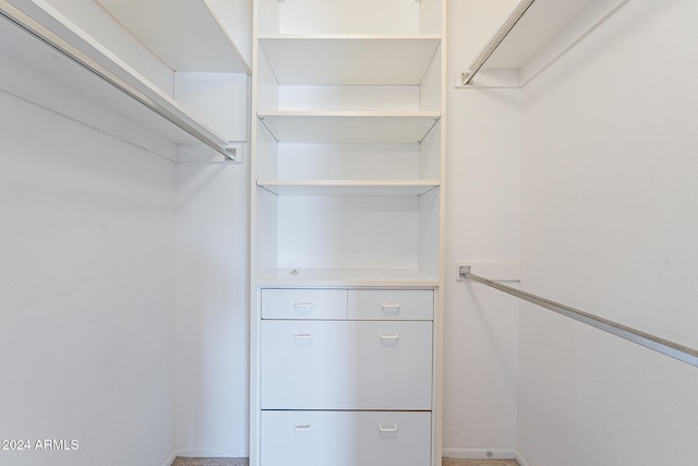 view of walk in closet