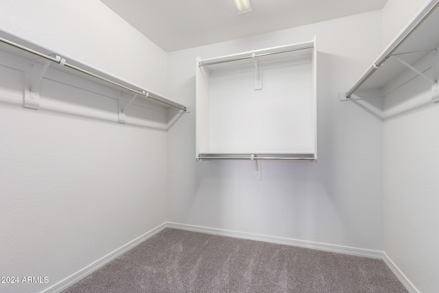 spacious closet with carpet