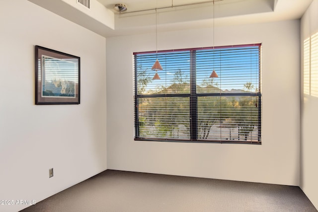 carpeted empty room featuring a tray ceiling