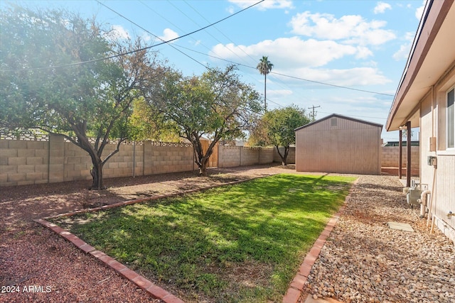 view of yard with a shed