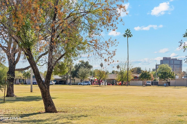 view of community featuring a lawn