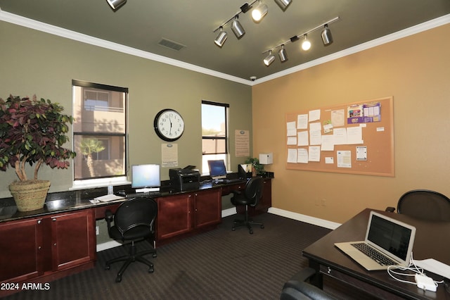 office featuring dark colored carpet, rail lighting, and crown molding