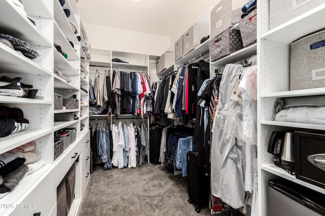 2052 E Scorpio Pl, Chandler, AZ 85249 - spacious closet with carpet floors