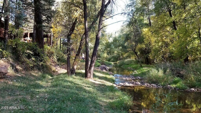 view of yard with a view of trees