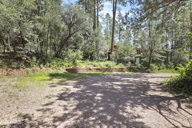 view of street with driveway