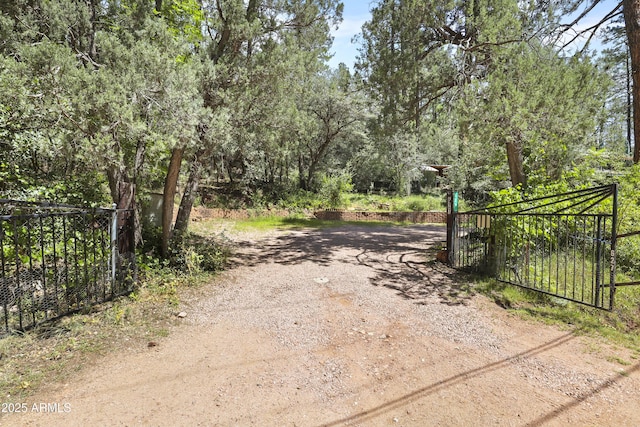 view of road featuring a gated entry and dirt driveway