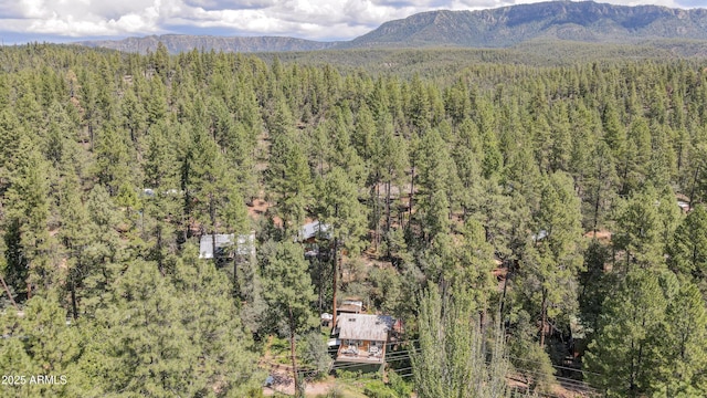 drone / aerial view with a mountain view and a view of trees