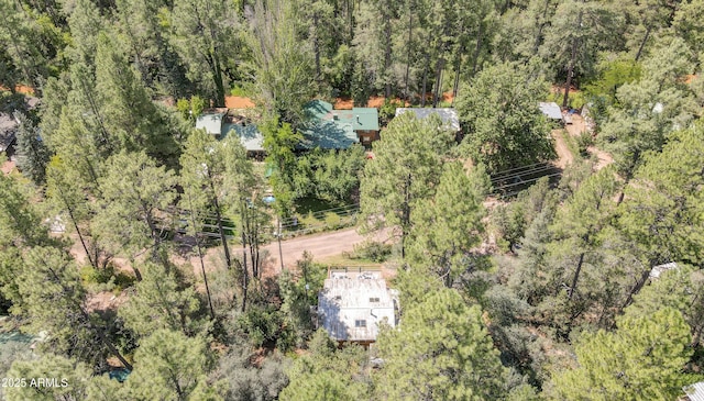 bird's eye view with a view of trees