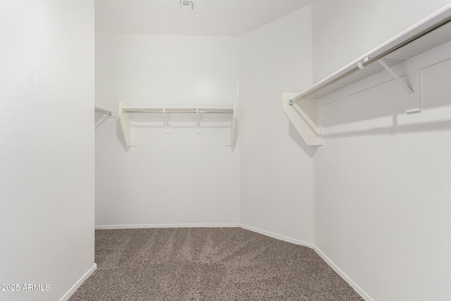 spacious closet with carpet