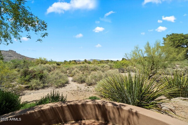 3120 Arroyo Hondo, Carefree, AZ 85377 - view of local wilderness featuring a mountain view