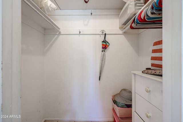 view of spacious closet