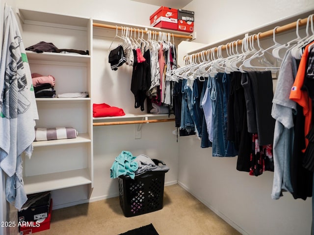 spacious closet featuring carpet floors