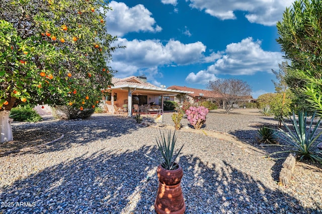 ranch-style house featuring a patio