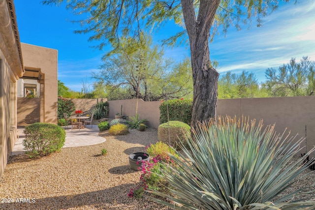 view of yard featuring a patio