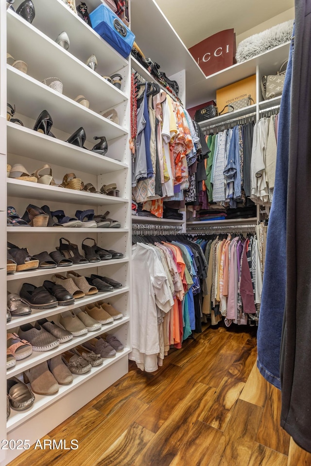 walk in closet with wood-type flooring