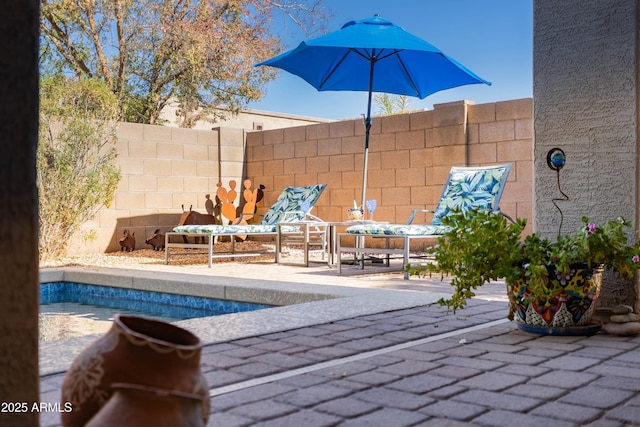 view of swimming pool featuring a patio