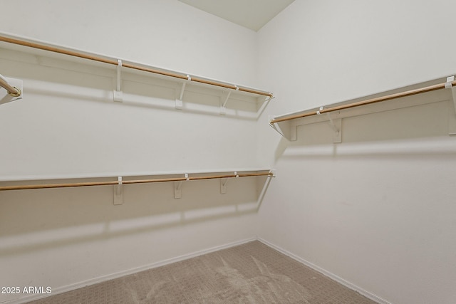 spacious closet with light carpet