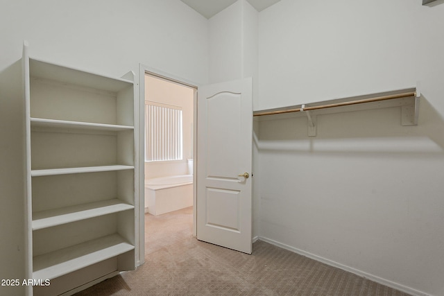 walk in closet featuring carpet