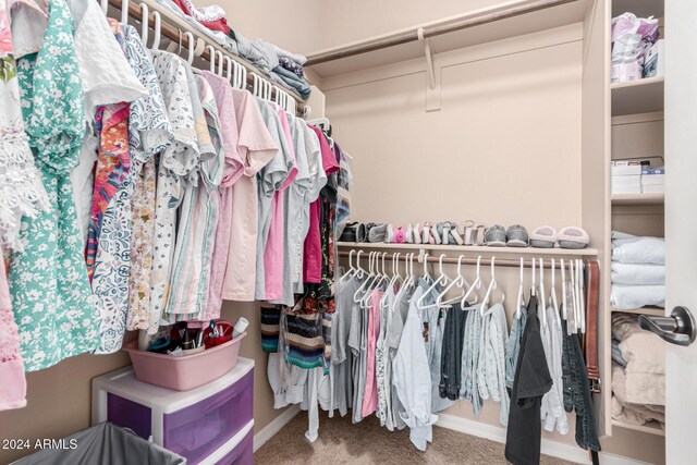 walk in closet with carpet flooring