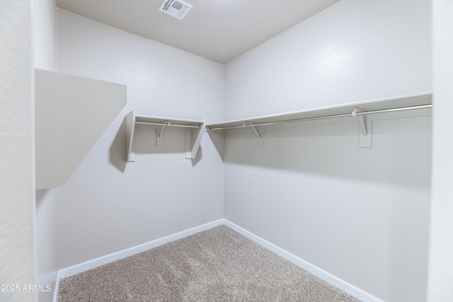 walk in closet featuring visible vents and carpet floors
