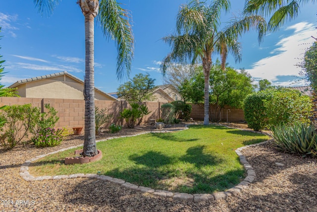 view of yard with a fenced backyard