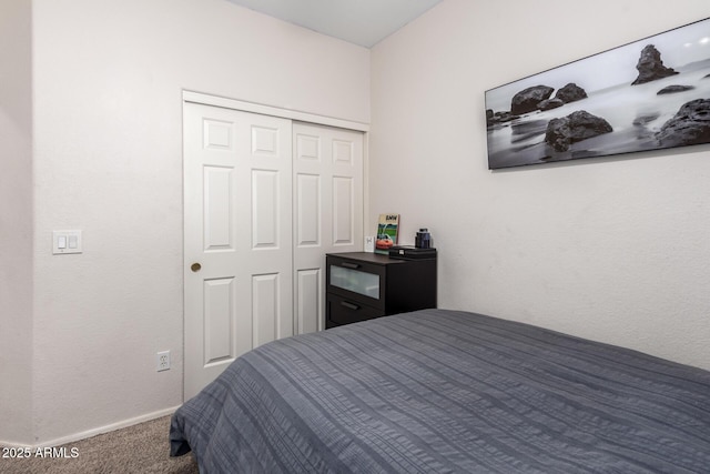 bedroom featuring carpet floors, baseboards, and a closet