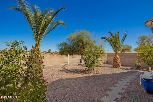 view of yard with a fenced backyard