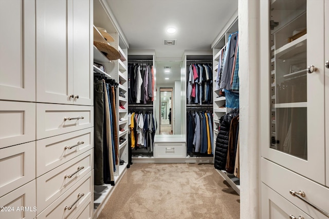 spacious closet with light carpet