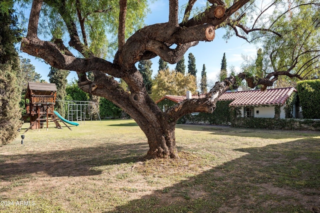 view of yard featuring a playground