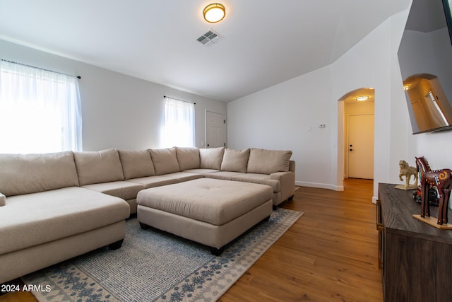 living room with lofted ceiling and wood-type flooring