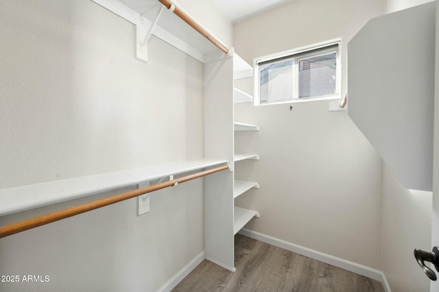 walk in closet with light hardwood / wood-style flooring