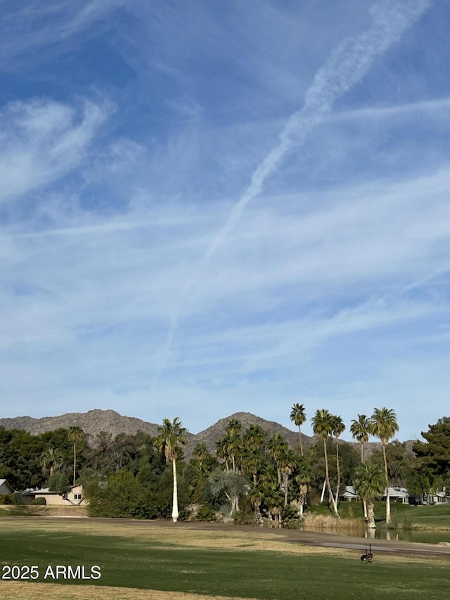 view of community with a mountain view and a yard