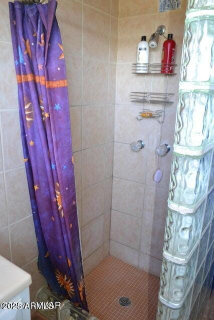 3733 Del Contento Rd, Snowflake, AZ 85937 - bathroom featuring a shower stall
