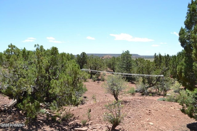 3733 Del Contento Rd, Snowflake, AZ 85937 - view of yard featuring a forest view