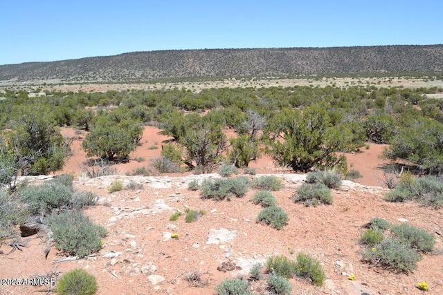 3733 Del Contento Rd, Snowflake, AZ 85937 - view of mountain background featuring a desert landscape and rural landscape
