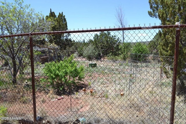 3733 Del Contento Rd, Snowflake, AZ 85937 - view of yard