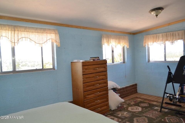 3733 Del Contento Rd, Snowflake, AZ 85937 - bedroom featuring ornamental molding