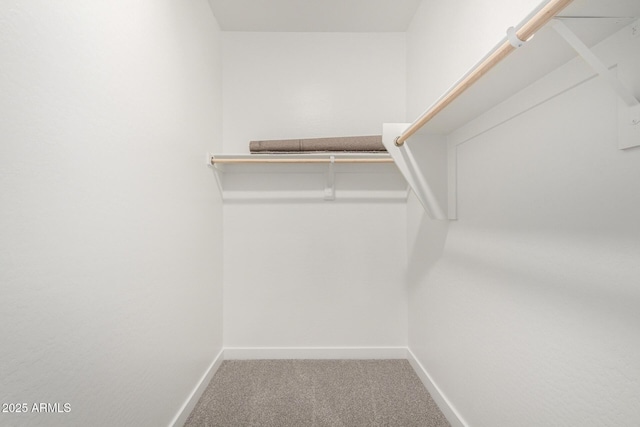 17032 W Cavedale Dr, Surprise, AZ 85387 - spacious closet featuring carpet flooring